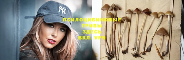 дмт Белоозёрский