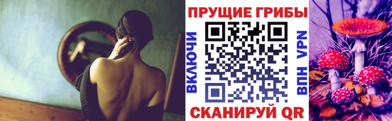 ссылка на мегу tor даркнет сайт Первомайск shop формула Галлюциногенные грибы Cubensis